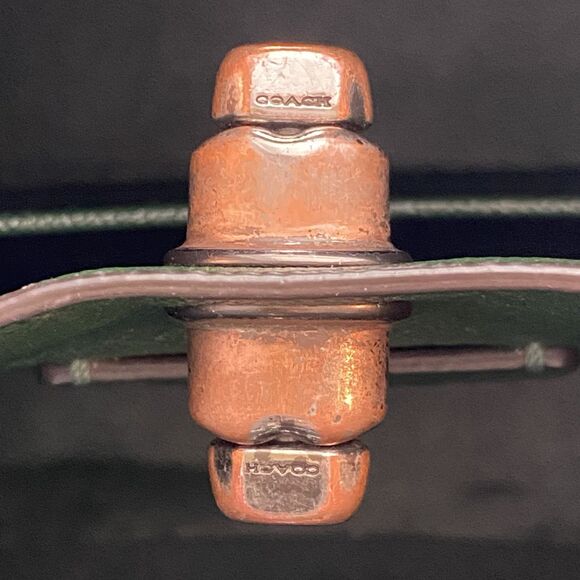 Coach Light Fern Charlie 55200 Polished Pebble Leather Bucket Shoulder Purse - Picture 14 of 16